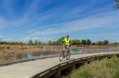 new-zealand-great-taste-trail-cycling-tour-boardwalks