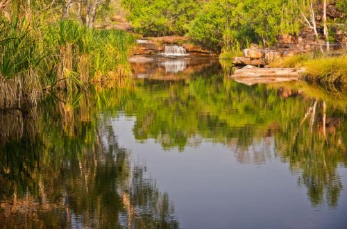 Camp-Creek-with-The-Great-Escape