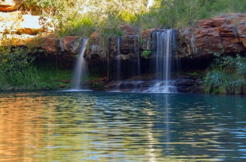 Fern-pool-karijini-national-park-gorge-falls-swimming