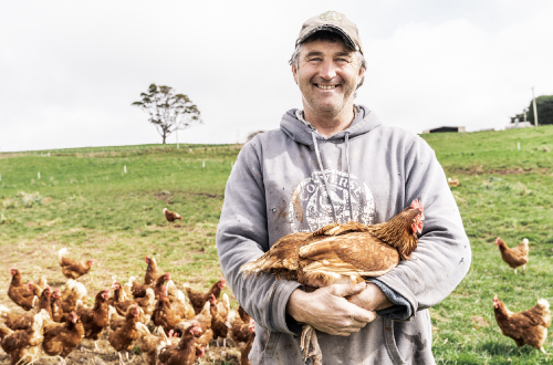 Cape-to-Cradle-Gourmet-Tour-Tasmania-farm