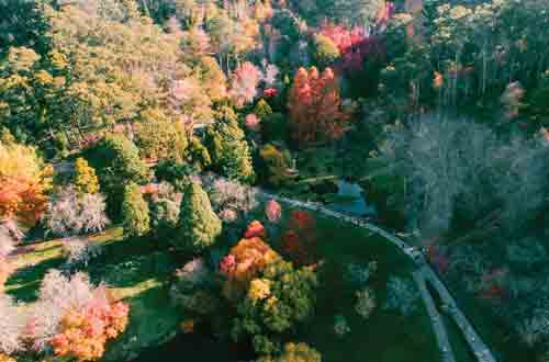 mount-lofty-botanic-garden-adelaide-hills-aerial