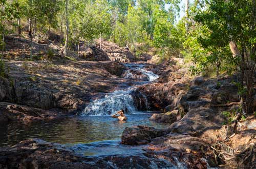 northern-territory-swimming-in-buley-rockhole-pool-