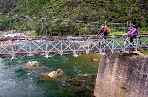 Hauraki-Rail-Trail-Waikato-Tourism-New-Zealand
