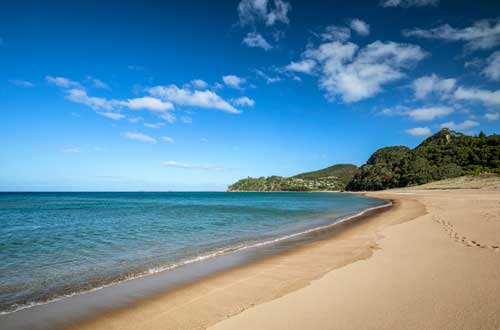 Hot-Water-Beach-Coromandel-new-zealand