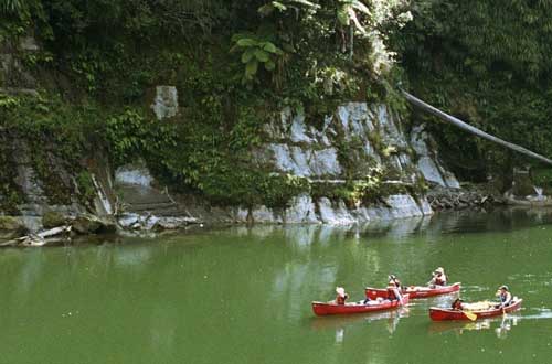 canoe-safaris-cave-new-zealand