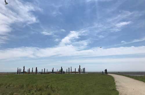 new-zealand-tour-hawkes-bay-trails-cycling-star-compass