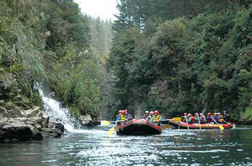 rangitaiki-grade-2-scenic-trip-new-zealand