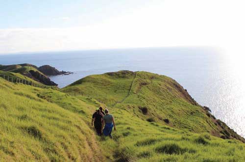 the-coromandel-coastal-walkway-walk