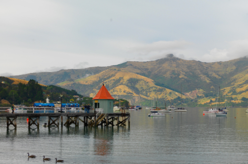akaroa-peninsula-port-south-island-new-zealand-landscape-scene