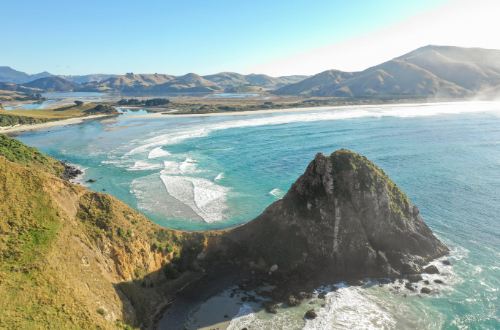otago-peninsula-dunedin-stunning-beaches-new-zealand-south-island