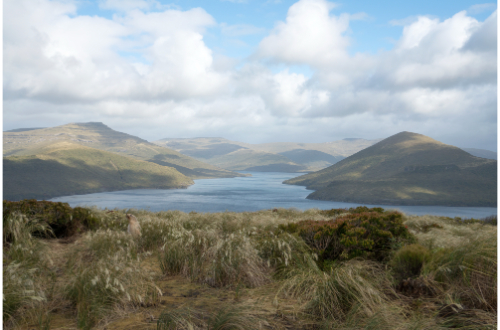 antipodes-islands-subantartic-untouched-landscape-scenery-new-zealand