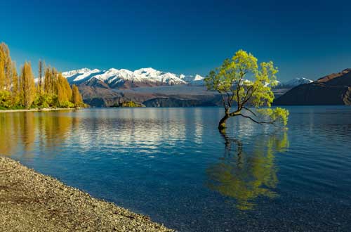 lake-wanaka-new-zealand