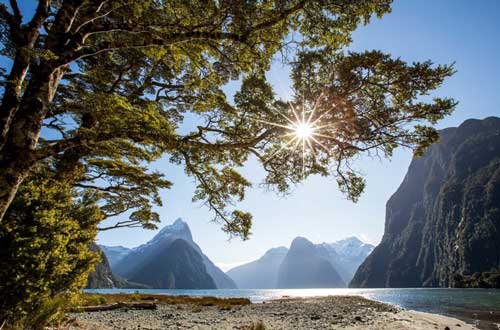 milford-track-walk-milford-sound