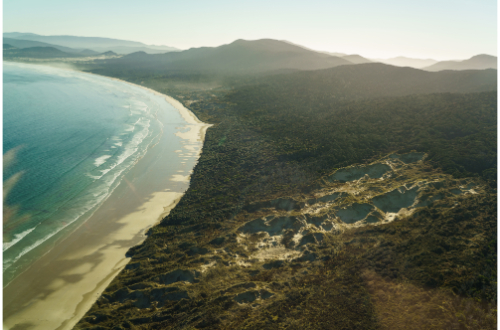 stewart-island-south-coast-coastine-new-zealand-pristine-beach