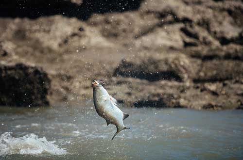 Kimberley-Ultimate-Cruise_Day4