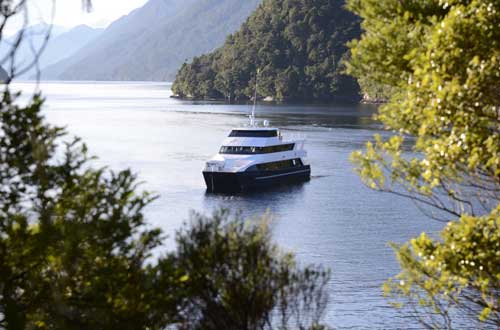 fiordland-jewel-new-zealand