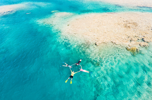 Rowley-Shoals-snorkel