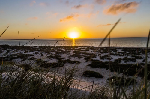 Ningaloo-Reef-sail-sunset