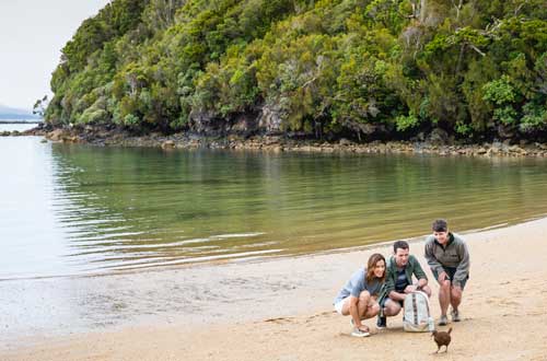 UlvaIsland-StewartIsland-