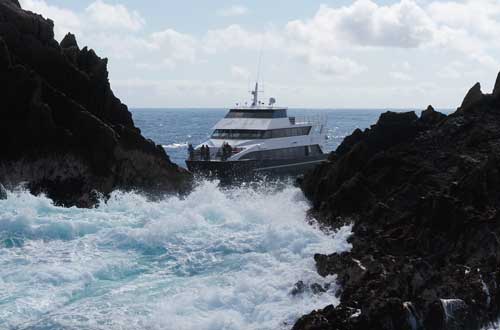 stewart-island-new-zealand-northern-stewart-island2