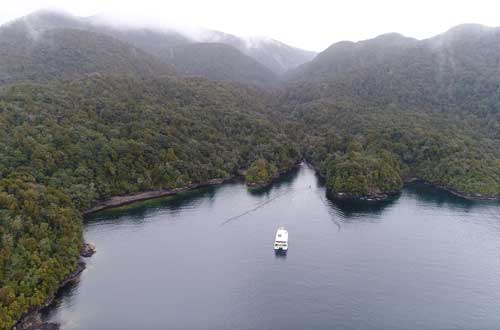Pickersgill-Harbour-fiordland-jewel-new-zealand-cruise