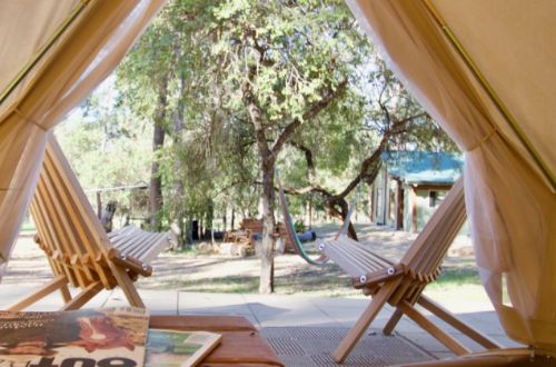 Wallaroo-outback-camp