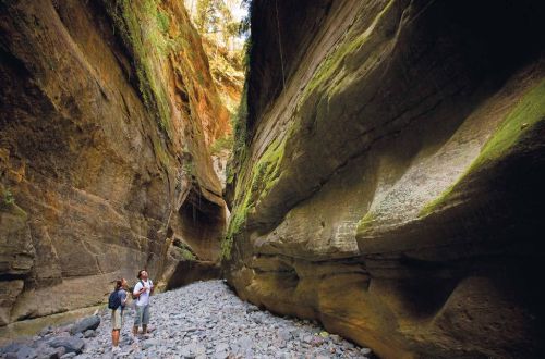 cape-york-the-gulf-carnarvon-gorge