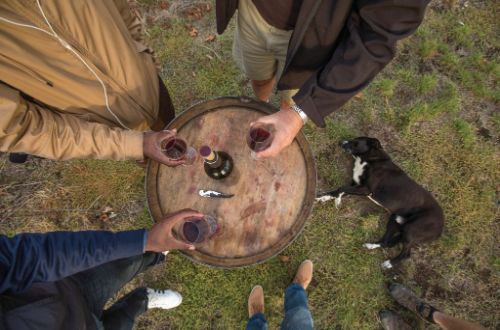 southern-ocean-island-hopping-5d4n-kangaroo-island-wine