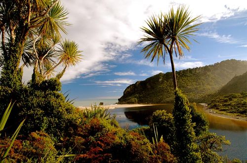 Kahurangi-National-Park-Kohaihai-River-Mouth
