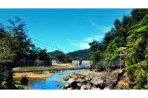 abel-tasman-walk-suspended-bridge-new-zealand