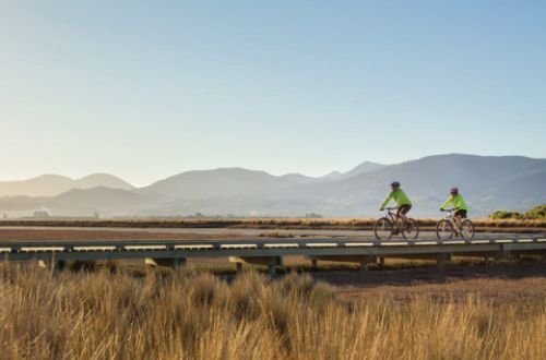 best-great-taste-trail-cycling-tour-nelson-new-zealand-cyclists