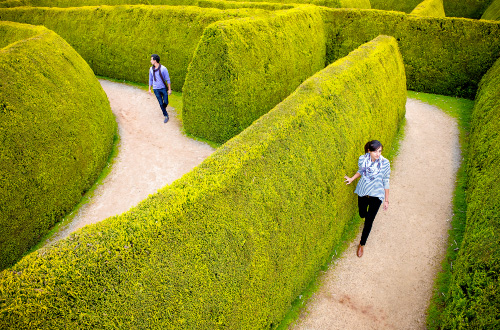 mintaro-maze-clare-valley-sa