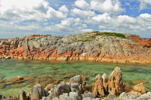 Bay-of-Fires-walk-cruise-the-gardens