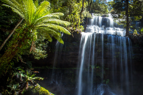 tasmania-walk-mt-field-national-park