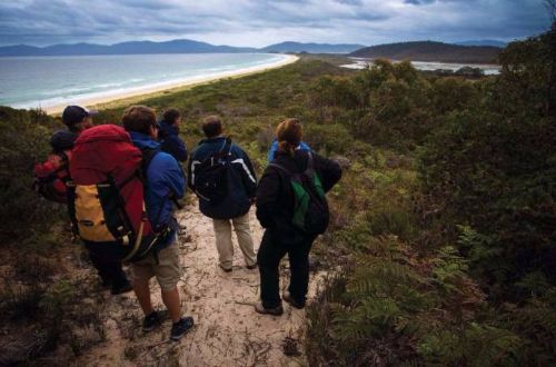 Bruny-Island-walkers