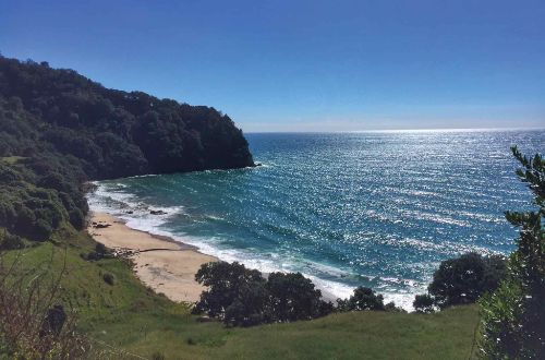 The-Coromandel-Walk-Homunga-Bay-onlyluxe