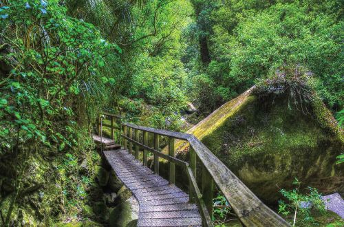 The-Coromandel-Walk-Wairere-Falls-track-onlyluxe