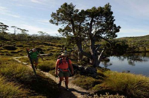 Cradle-mountain-overland-tekking-tasmania-australia