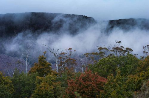 cradle-mountain-guided-walk-Great-Western-Tiers-Tasmania