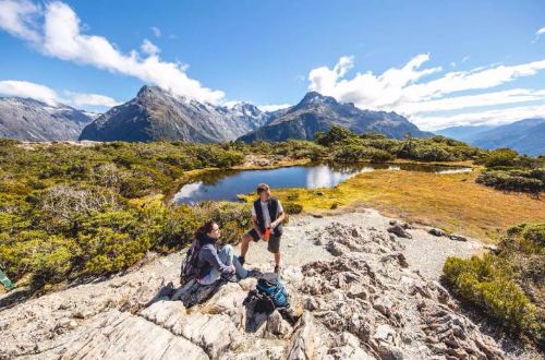 Fiordland-Walk-Routeburn-Track