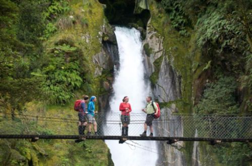 Fiordland-Walk-Milford-Track-bridge New Zealand