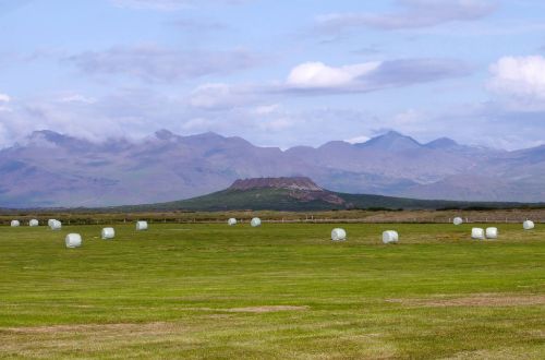iceland-walk-eldborg-crater