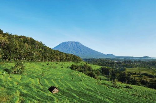 bali-beyond-hiking-amankila-ricefield-trekking-ultimate-luxury-onlyluxe