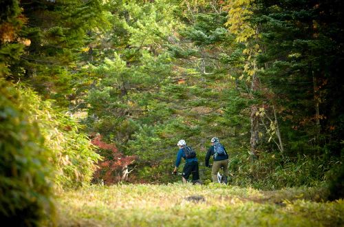 kamikochi-walk-mt-norikura-bike-ride-Japan-Alps