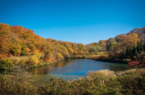Shin-etsu-trail-walk-japan-walking