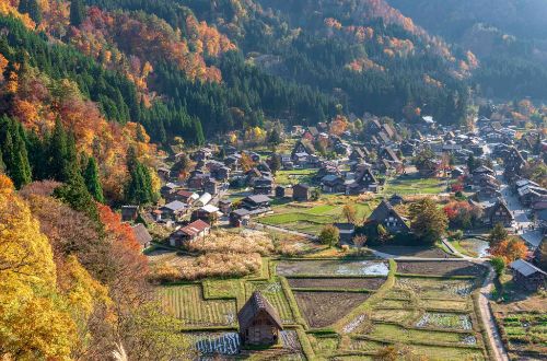 Shirakawago-tour-Shirakawago