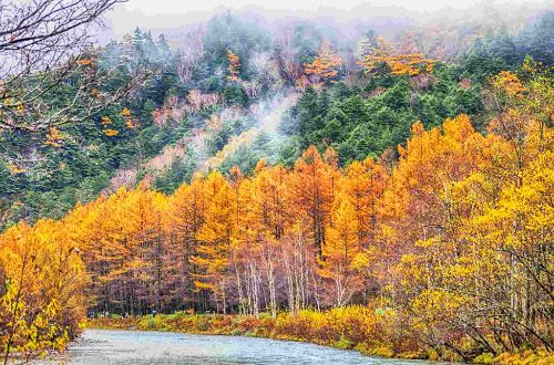 japan-walk-japan-alps-explore-kamikochi-national-park