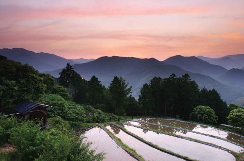 kumano-kodo-walk-Takahara-mountains