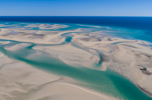 Willie-Creek-Pearl-Farm-Tour