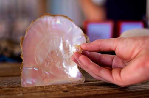 kimberley-western-australia-broome-pearl-and-shell